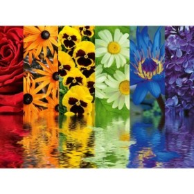 Puzzle reflexia florilor 500 piese design nou